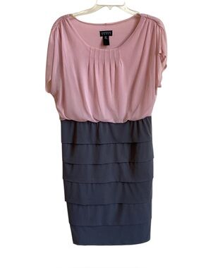 Enfocus Studio Soft Pink Gray Pleated dress women’s size 16W